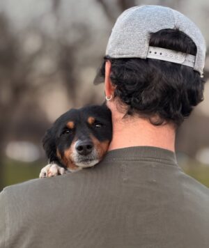 Sara Sálamo Instagram - Hubo una etapa de nuestra vida en la que éramos diez en casa.
Cinco perros, cinco humanos, ruido, pelos y felicidad.
Coco se fue hace unos años. Miel hace unos meses.
Y quien ha querido a un animal sabe que no “es un perro”. Es familia. Y cuando se van, dejan un silencio ensordecedor.
Hace unas semanas sentimos que teníamos espacio y amor que dar en nuestra casa y fuimos a dos refugios. Solo con la idea primero de mirar a los ojos y ver qué pasaba.
Y pasó.
Valle, una galga loca, elegante y con esa mezcla de nobleza y locura que tienen los galgos rescatados, nos robó el corazón. Y aunque es una destrozona en casa, nunca imaginamos que podría ser tan divertida. Gracias @siemprefielprotectora por traerla a nuestra vida.
Y luego apareció Gupi, pequeña, mestiza, con cara de zorrito y una energía que nos enamoró desde la primera vez que la vimos en @uprodea_doshermanas . Sobre todo, los más pequeños de la casa. Un flechazo de esos que dicen.
Ahora son cinco otra vez:
Drama, Terra, Doggie… y las nuevas, Valle y Gupi.
No hemos comprado. Hemos adoptado.
Porque hay miles de perros esperando en refugios, invisibles, maravillosos, llenos de amor listo para dar.
Porque cada adopción libera espacio para otro y porque sentimos que no debería haber otra forma de hacer las cosas después de ver a decenas de ellos esperando con esos ojitos el tener una familia donde tener una vida bonita.
Si estás pensando en sumar un miembro a tu familia, mira primero a los que esperan detrás de una jaula.
Adoptar no es un gesto bonito. Es una decisión responsable.
Y cambia dos vidas: la suya… y la tuya. 🥹🫶🏼
#AdoptaNoCompres #AdopciónResponsable