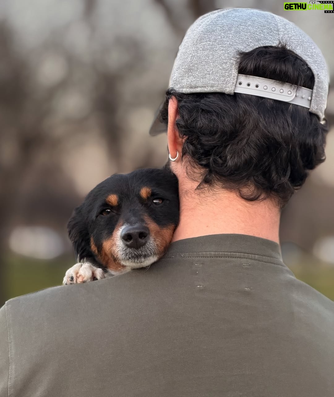 Sara Sálamo - 112.5K Likes - Hubo una etapa de nuestra vida en la que éramos diez en casa.
Cinco perros, cinco humanos, ruido, pelos y felicidad.

Coco se fue hace unos años. Miel hace unos meses.
Y quien ha querido a un animal sabe que no “es un perro”. Es familia. Y cuando se van, dejan un silencio ensordecedor.

Hace unas semanas sentimos que teníamos espacio y amor que dar en nuestra casa y fuimos a dos refugios. Solo con la idea primero de mirar a los ojos y ver qué pasaba.

Y pasó.

Valle, una galga loca, elegante y con esa mezcla de nobleza y locura que tienen los galgos rescatados, nos robó el corazón. Y aunque es una destrozona en casa, nunca imaginamos que podría ser tan divertida. Gracias @siemprefielprotectora por traerla a nuestra vida.

Y luego apareció Gupi, pequeña, mestiza, con cara de zorrito y una energía que nos enamoró desde la primera vez que la vimos en @uprodea_doshermanas . Sobre todo, los más pequeños de la casa. Un flechazo de esos que dicen.

Ahora son cinco otra vez:
Drama, Terra, Doggie… y las nuevas, Valle y Gupi.

No hemos comprado. Hemos adoptado.
Porque hay miles de perros esperando en refugios, invisibles, maravillosos, llenos de amor listo para dar.
Porque cada adopción libera espacio para otro y porque sentimos que no debería haber otra forma de hacer las cosas después de ver a decenas de ellos esperando con esos ojitos el tener una familia donde tener una vida bonita.

Si estás pensando en sumar un miembro a tu familia, mira primero a los que esperan detrás de una jaula.

Adoptar no es un gesto bonito. Es una decisión responsable.
Y cambia dos vidas: la suya… y la tuya. 🥹🫶🏼

#AdoptaNoCompres #AdopciónResponsable