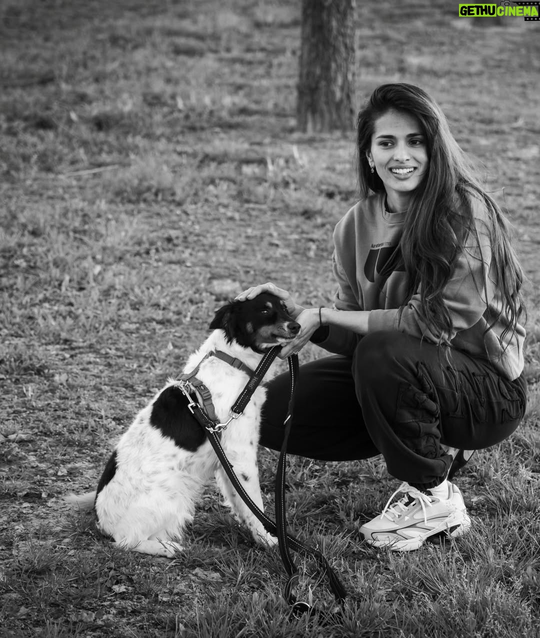 Sara Sálamo - 112.5K Likes - Hubo una etapa de nuestra vida en la que éramos diez en casa.
Cinco perros, cinco humanos, ruido, pelos y felicidad.

Coco se fue hace unos años. Miel hace unos meses.
Y quien ha querido a un animal sabe que no “es un perro”. Es familia. Y cuando se van, dejan un silencio ensordecedor.

Hace unas semanas sentimos que teníamos espacio y amor que dar en nuestra casa y fuimos a dos refugios. Solo con la idea primero de mirar a los ojos y ver qué pasaba.

Y pasó.

Valle, una galga loca, elegante y con esa mezcla de nobleza y locura que tienen los galgos rescatados, nos robó el corazón. Y aunque es una destrozona en casa, nunca imaginamos que podría ser tan divertida. Gracias @siemprefielprotectora por traerla a nuestra vida.

Y luego apareció Gupi, pequeña, mestiza, con cara de zorrito y una energía que nos enamoró desde la primera vez que la vimos en @uprodea_doshermanas . Sobre todo, los más pequeños de la casa. Un flechazo de esos que dicen.

Ahora son cinco otra vez:
Drama, Terra, Doggie… y las nuevas, Valle y Gupi.

No hemos comprado. Hemos adoptado.
Porque hay miles de perros esperando en refugios, invisibles, maravillosos, llenos de amor listo para dar.
Porque cada adopción libera espacio para otro y porque sentimos que no debería haber otra forma de hacer las cosas después de ver a decenas de ellos esperando con esos ojitos el tener una familia donde tener una vida bonita.

Si estás pensando en sumar un miembro a tu familia, mira primero a los que esperan detrás de una jaula.

Adoptar no es un gesto bonito. Es una decisión responsable.
Y cambia dos vidas: la suya… y la tuya. 🥹🫶🏼

#AdoptaNoCompres #AdopciónResponsable