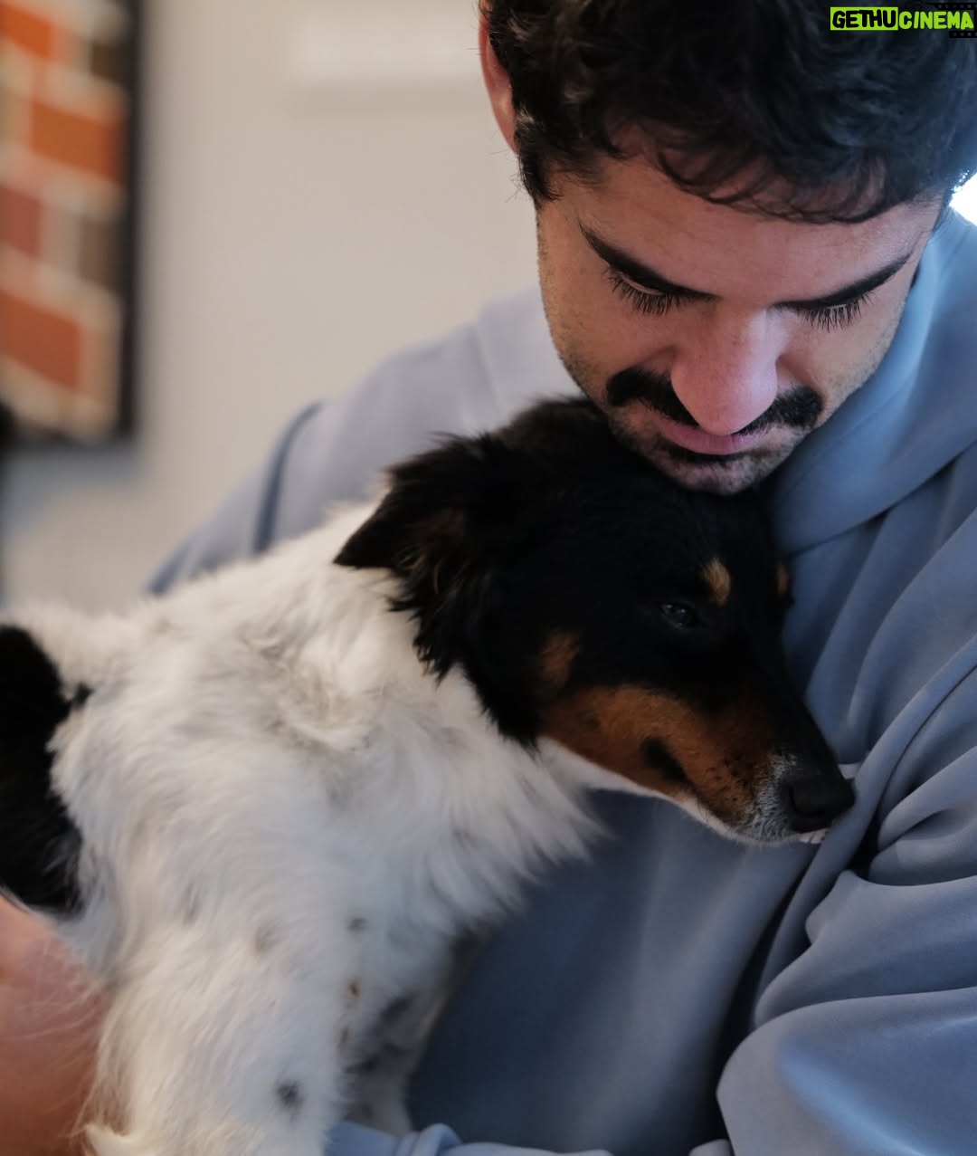 Sara Sálamo - 112.5K Likes - Hubo una etapa de nuestra vida en la que éramos diez en casa.
Cinco perros, cinco humanos, ruido, pelos y felicidad.

Coco se fue hace unos años. Miel hace unos meses.
Y quien ha querido a un animal sabe que no “es un perro”. Es familia. Y cuando se van, dejan un silencio ensordecedor.

Hace unas semanas sentimos que teníamos espacio y amor que dar en nuestra casa y fuimos a dos refugios. Solo con la idea primero de mirar a los ojos y ver qué pasaba.

Y pasó.

Valle, una galga loca, elegante y con esa mezcla de nobleza y locura que tienen los galgos rescatados, nos robó el corazón. Y aunque es una destrozona en casa, nunca imaginamos que podría ser tan divertida. Gracias @siemprefielprotectora por traerla a nuestra vida.

Y luego apareció Gupi, pequeña, mestiza, con cara de zorrito y una energía que nos enamoró desde la primera vez que la vimos en @uprodea_doshermanas . Sobre todo, los más pequeños de la casa. Un flechazo de esos que dicen.

Ahora son cinco otra vez:
Drama, Terra, Doggie… y las nuevas, Valle y Gupi.

No hemos comprado. Hemos adoptado.
Porque hay miles de perros esperando en refugios, invisibles, maravillosos, llenos de amor listo para dar.
Porque cada adopción libera espacio para otro y porque sentimos que no debería haber otra forma de hacer las cosas después de ver a decenas de ellos esperando con esos ojitos el tener una familia donde tener una vida bonita.

Si estás pensando en sumar un miembro a tu familia, mira primero a los que esperan detrás de una jaula.

Adoptar no es un gesto bonito. Es una decisión responsable.
Y cambia dos vidas: la suya… y la tuya. 🥹🫶🏼

#AdoptaNoCompres #AdopciónResponsable