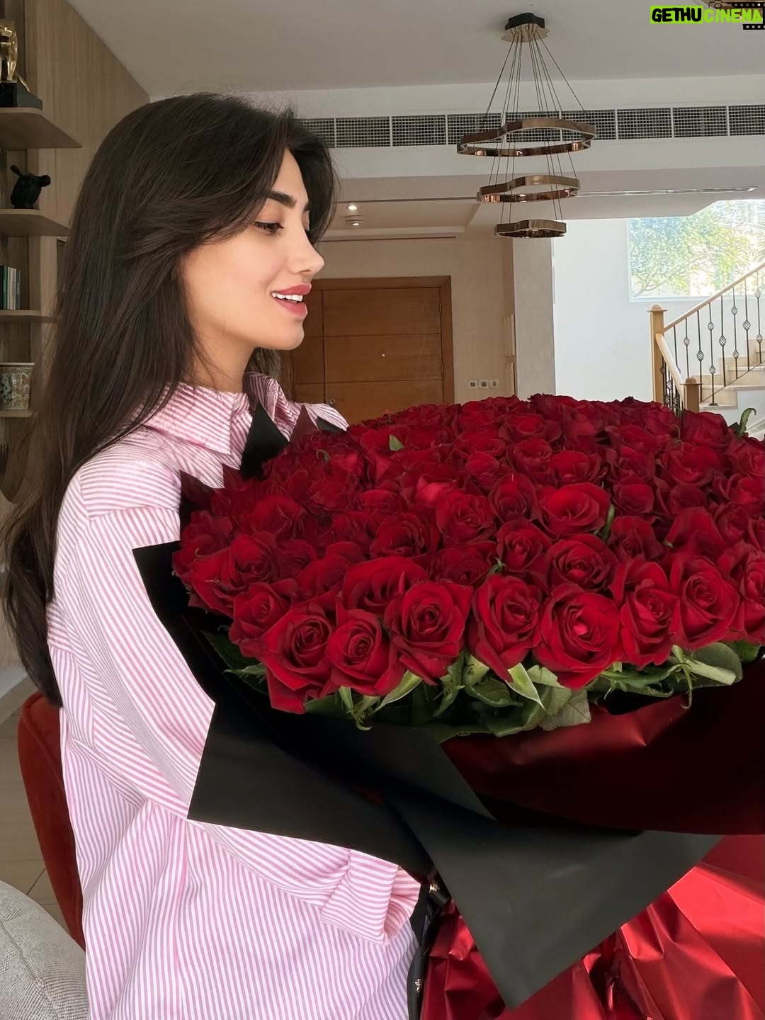 Shahad Hasan - 31.1K Likes - Red roses don’t fade quickly…
because they were born from feelings that never die.🌹