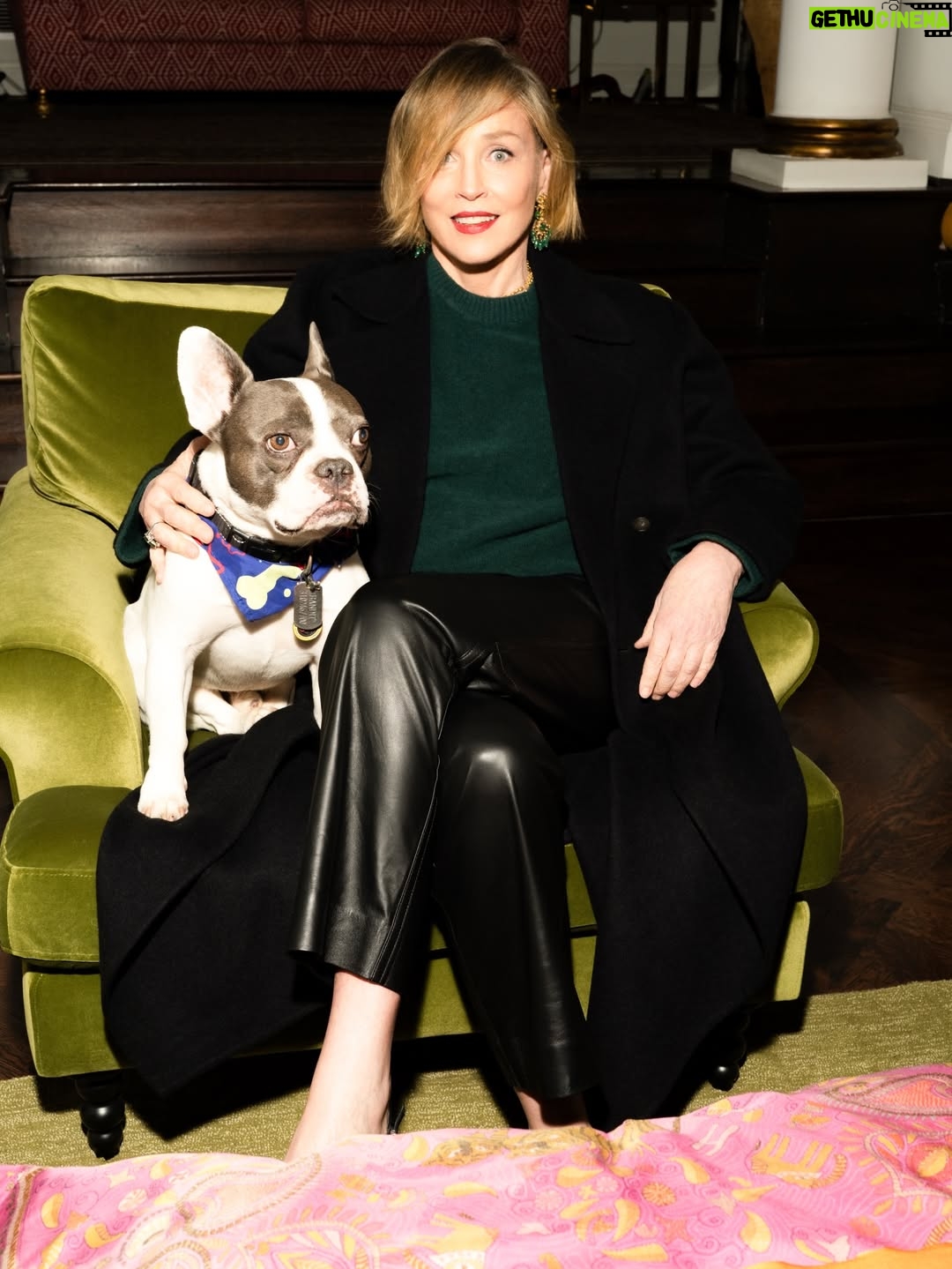Sharon Stone - 38.7K Likes - stepping out a few nights ago for Lunar new year. Wasn’t sure about the green but I think it captured my mood perfectly 💚 

Photos / 📸 @itstylerchick 

styling by @p3iwenwang 
Mgmt: @sweatnshadow @marvincortes1 @roan_j_stone 
makeup: @lynnlmakeup 
PA: @gavincroghan_

outfit was full @vince accessorized with a few pieces :)