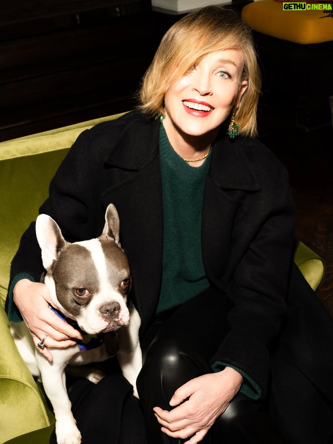 Sharon Stone - 38.7K Likes - stepping out a few nights ago for Lunar new year. Wasn’t sure about the green but I think it captured my mood perfectly 💚 

Photos / 📸 @itstylerchick 

styling by @p3iwenwang 
Mgmt: @sweatnshadow @marvincortes1 @roan_j_stone 
makeup: @lynnlmakeup 
PA: @gavincroghan_

outfit was full @vince accessorized with a few pieces :)