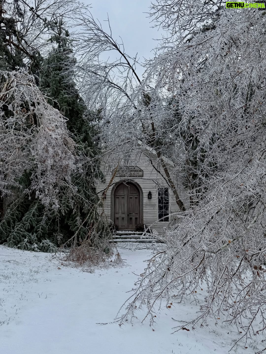 Sheryl Crow - 25.8K Likes - We are going on four days of an ice storm with no power and no definite end in sight, which has felt very symbolic with all that is going on right now. (While my power was restored yesterday, much of Nashville is still without power with record low temperatures.)

I have had time to contemplate what it means to feel powerless. But, we are never without power as long as we come together and raise our voices. 

We must show up to protect our freedom and the existence of our democracy from a corrupt government, that is trying to make us believe we have no rights. They are lying. 

We are not helpless, even where ice/ICE is concerned. I will continue to post in my stories ways you can help if you feel powerless.
