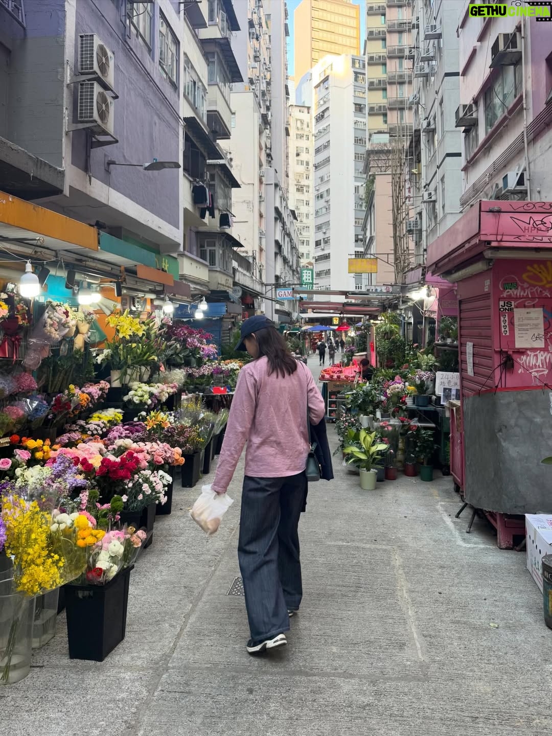 Shin Hyun-been - 22.2K Likes - Jan 2026 🇭🇰