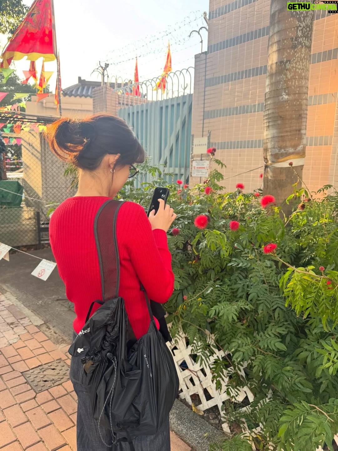 Shin Hyun-been - 22.2K Likes - Jan 2026 🇭🇰