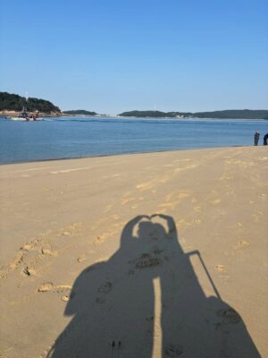 Song Hayoung Instagram - 🍀☘️2025👋