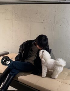 Actress Song Hye-kyo HD Photos and Wallpapers January 2026