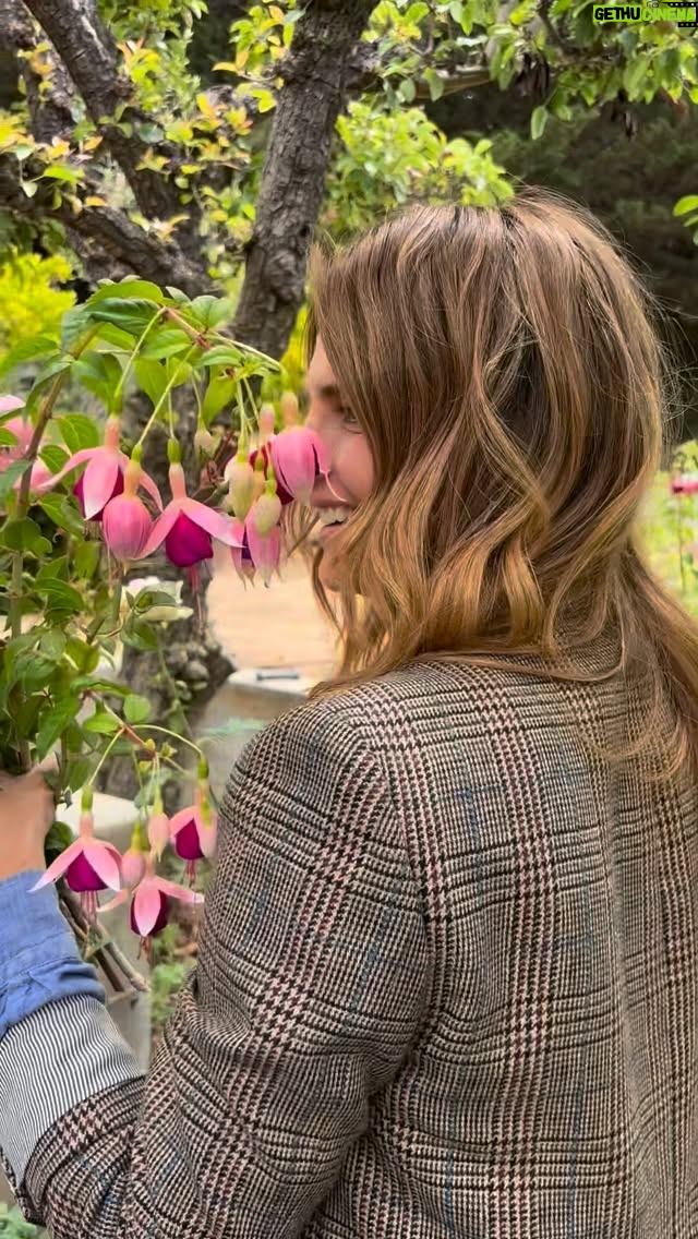 Stana Katic - 20.8K Likes - A perfect Sunday to pluck a little guitar & pick some flowers🌷 #Sunday #Bouquet #Flower