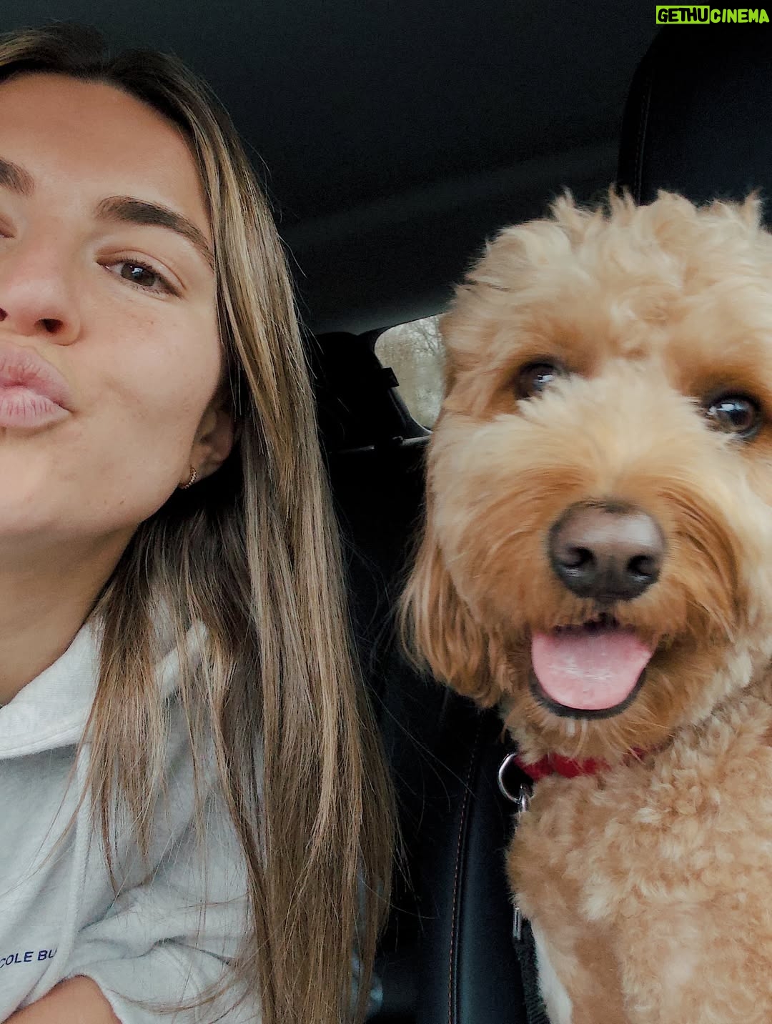 Steph Catley - 27.6K Likes - This is livin’ ✨