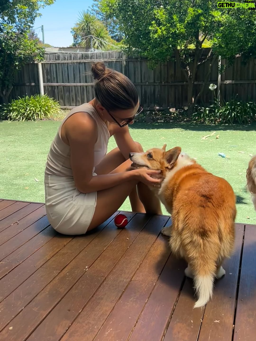Steph Catley - 35.2K Likes - Rest in peace my Benny boy. You were the light of our lives and our rock through everything. Our family won’t be the same without you but you’re in a better place now where your little pegs work perfectly and you can chase ballies endlessly. You were our perfect gentleman and we will love you forever just as you loved us 🤍