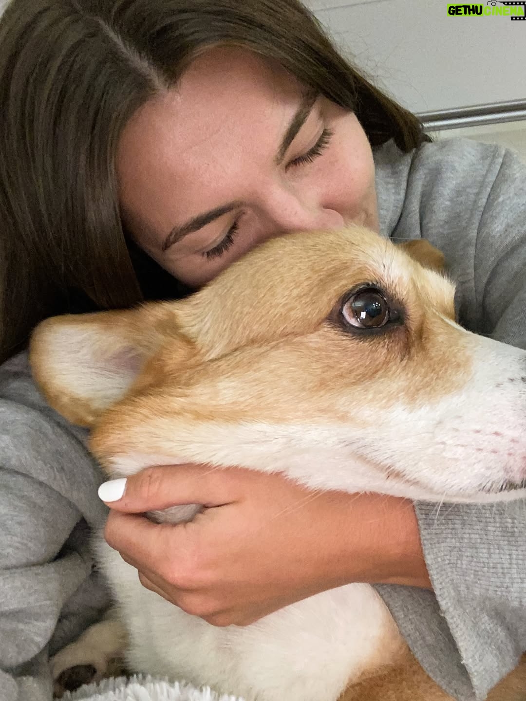 Steph Catley - 35.2K Likes - Rest in peace my Benny boy. You were the light of our lives and our rock through everything. Our family won’t be the same without you but you’re in a better place now where your little pegs work perfectly and you can chase ballies endlessly. You were our perfect gentleman and we will love you forever just as you loved us 🤍