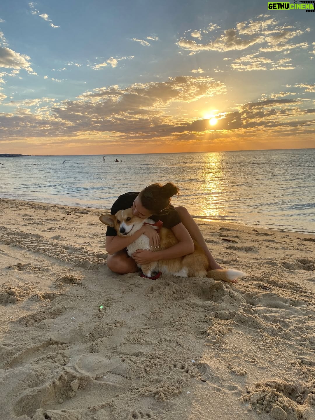 Steph Catley - 35.2K Likes - Rest in peace my Benny boy. You were the light of our lives and our rock through everything. Our family won’t be the same without you but you’re in a better place now where your little pegs work perfectly and you can chase ballies endlessly. You were our perfect gentleman and we will love you forever just as you loved us 🤍