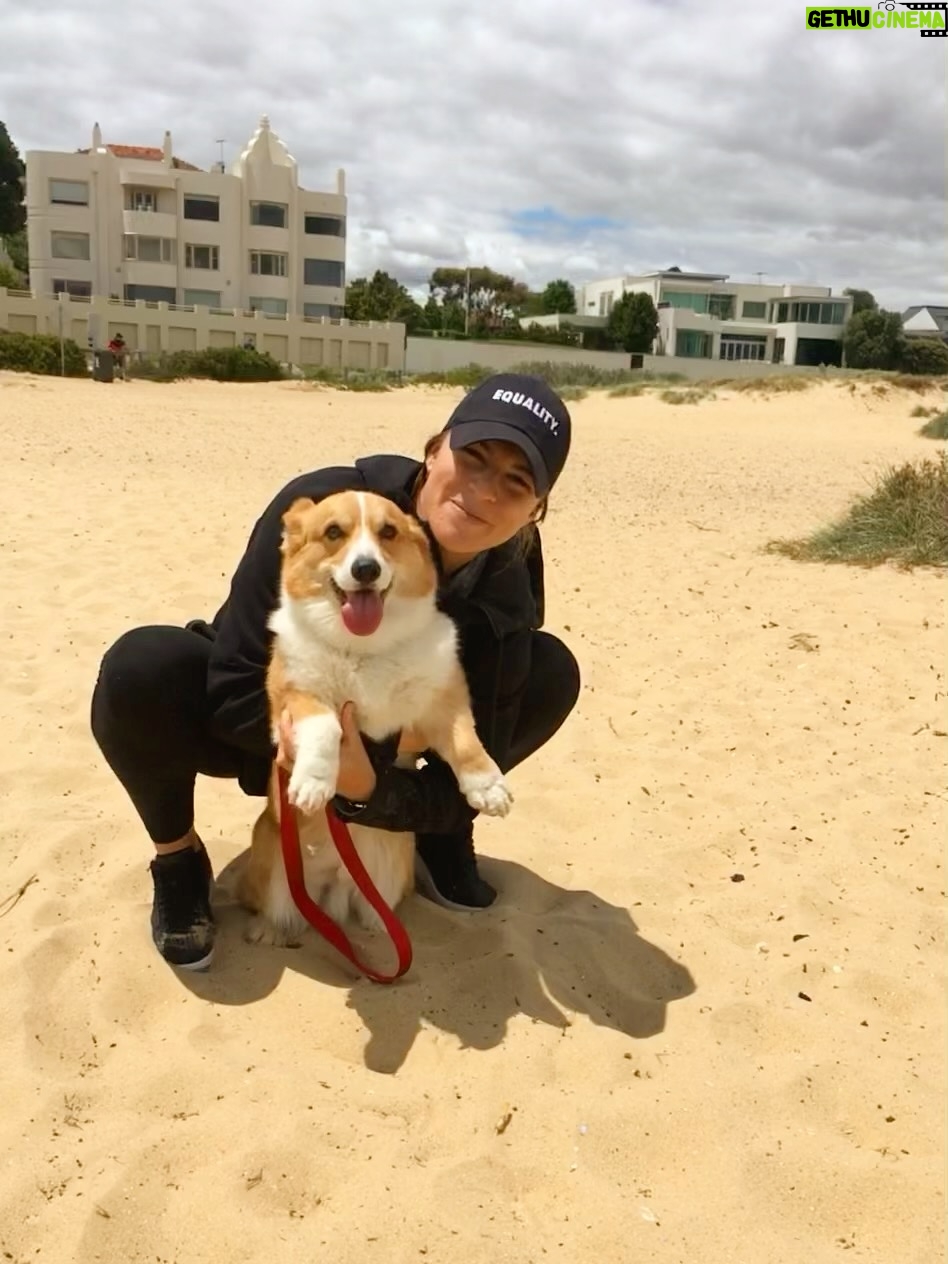 Steph Catley - 35.2K Likes - Rest in peace my Benny boy. You were the light of our lives and our rock through everything. Our family won’t be the same without you but you’re in a better place now where your little pegs work perfectly and you can chase ballies endlessly. You were our perfect gentleman and we will love you forever just as you loved us 🤍