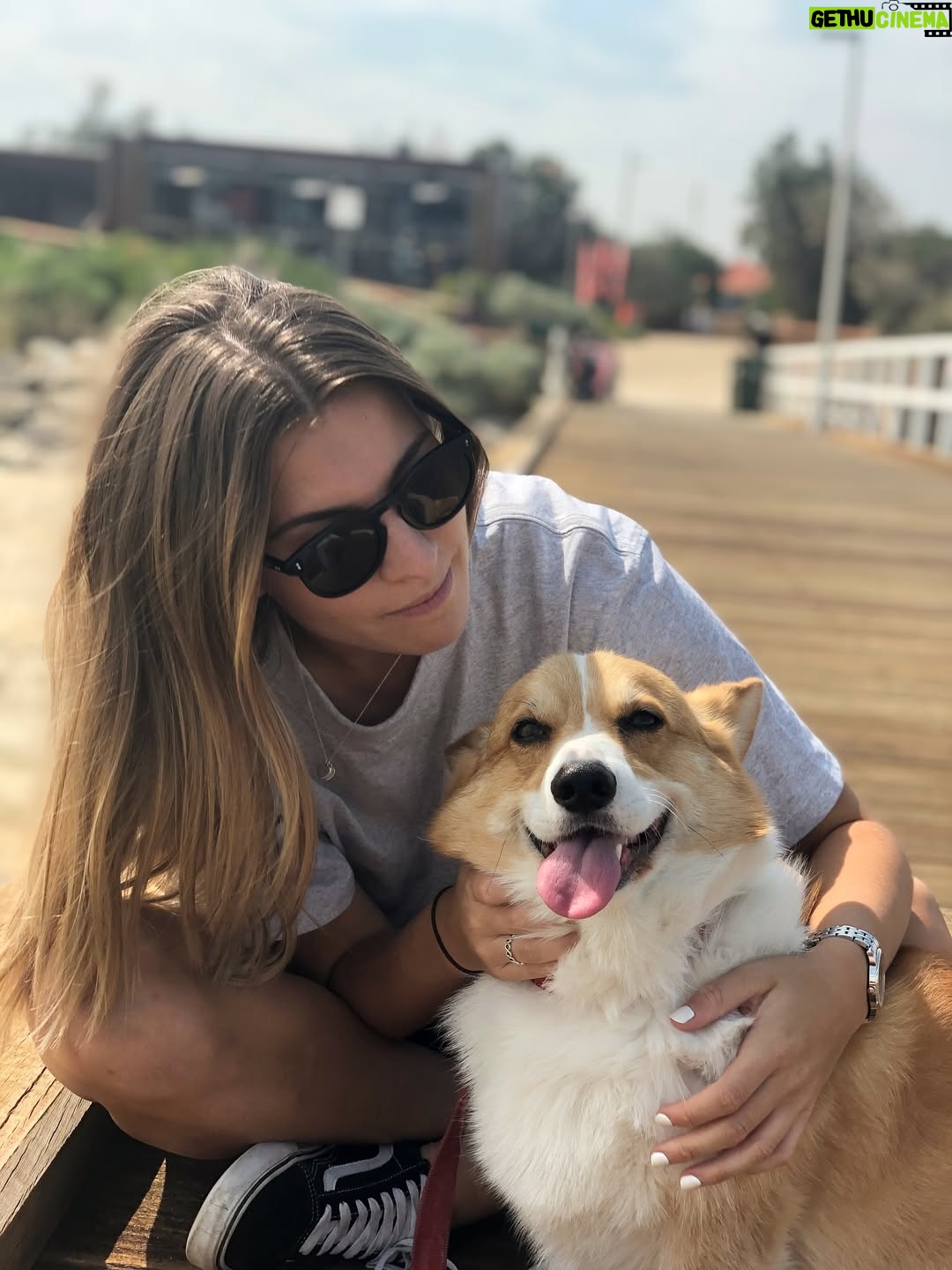 Steph Catley - 35.2K Likes - Rest in peace my Benny boy. You were the light of our lives and our rock through everything. Our family won’t be the same without you but you’re in a better place now where your little pegs work perfectly and you can chase ballies endlessly. You were our perfect gentleman and we will love you forever just as you loved us 🤍