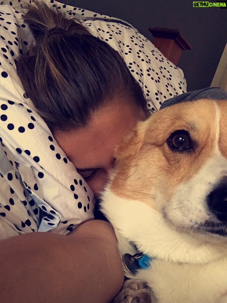 Steph Catley - 35.2K Likes - Rest in peace my Benny boy. You were the light of our lives and our rock through everything. Our family won’t be the same without you but you’re in a better place now where your little pegs work perfectly and you can chase ballies endlessly. You were our perfect gentleman and we will love you forever just as you loved us 🤍