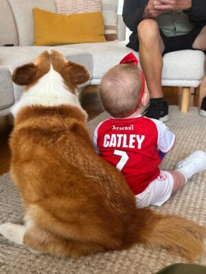 Steph Catley Instagram - Rest in peace my Benny boy. You were the light of our lives and our rock through everything. Our family won’t be the same without you but you’re in a better place now where your little pegs work perfectly and you can chase ballies endlessly. You were our perfect gentleman and we will love you forever just as you loved us 🤍