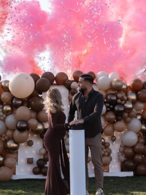 Stéphanie Clerbois Instagram - Gender Reveal VIBES 🤍✨