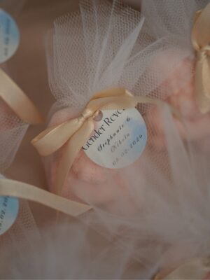 Stéphanie Clerbois Instagram - Gender Reveal VIBES 🤍✨