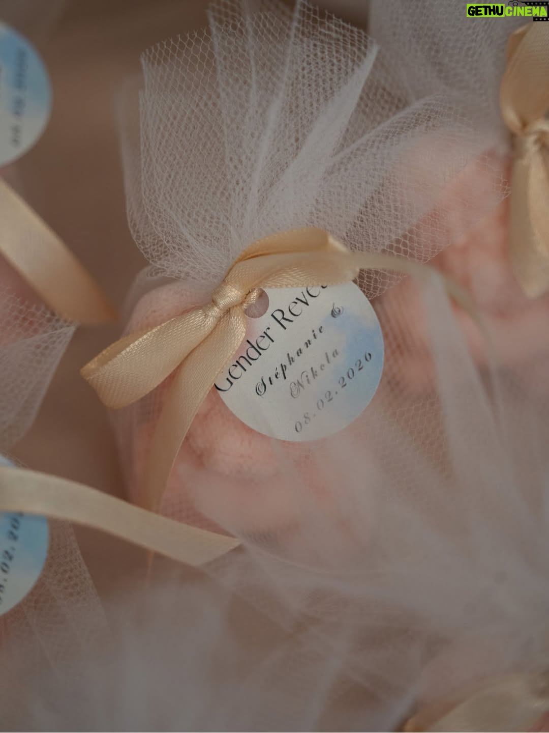 Stéphanie Clerbois - 126.1K Likes - Gender Reveal VIBES 🤍✨