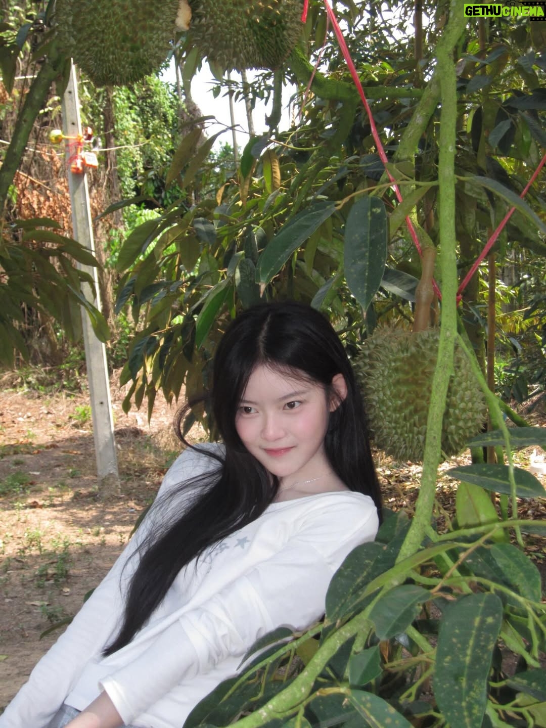 Suchada Sonpan - 323.3K Likes - 🦫