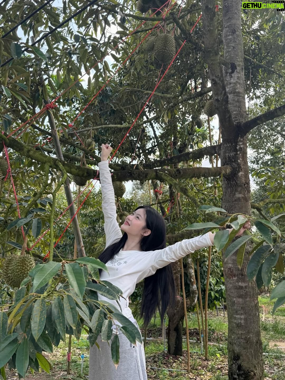 Suchada Sonpan - 323.3K Likes - 🦫