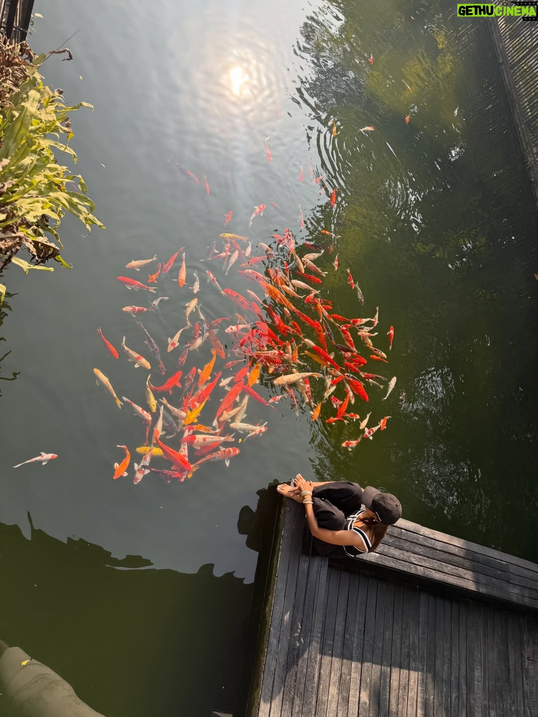 Sunerah Binte Kamal - 14.1K Likes - Fish-fish