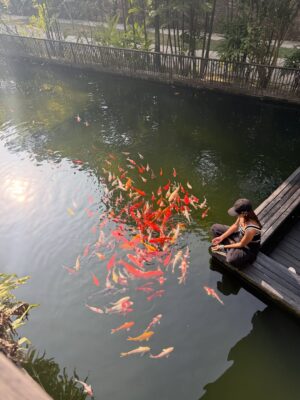 Sunerah Binte Kamal Instagram - Fish-fish