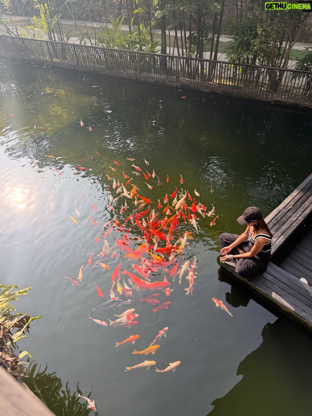 Sunerah Binte Kamal - 14.1K Likes - Fish-fish