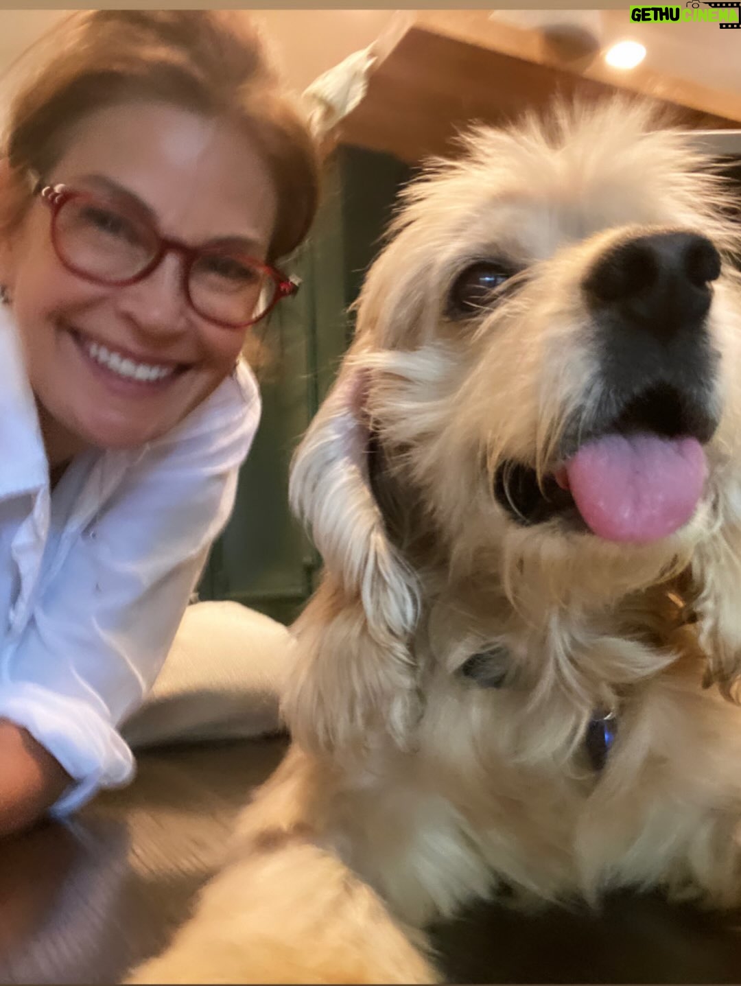Teri Hatcher - 49.6K Likes - It is with deep sadness that I said goodbye to Pumpkin yesterday. Six years ago when I went looking to adopt a dog, I wanted a senior (because I knew most people would be looking for puppies). So I knew this day would eventually come faster than I’d want it to— but in Pumpkin’s case, it was not before he had the chance to touch so many hearts and comfort so many souls, in ways I could never have anticipated. 

Whether in my personal life or during visits to @childrensla as a dog therapy team to both patients and staff, his rock star looks with his cuddly soft fur and loving demeanor were an endless comfort and a true blessing.

Thank you, Pumpkin, for coming into my life and for all you gave to so many. I knew you always tried to be the best dog even when it was hard for your body… and Pumpkin, you were the best dog. I’m gutted. I did, and would have done, anything and everything to make you well. I’m so sorry there weren’t answers.

Sometimes it’s just like that.

Wishing you love and light as you journey onward.
Bless you, sweet Pumpkin. You truly were the best dog.