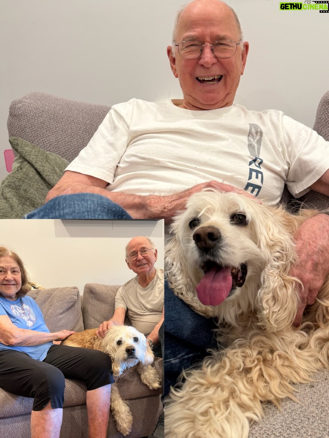 Teri Hatcher - 49.6K Likes - It is with deep sadness that I said goodbye to Pumpkin yesterday. Six years ago when I went looking to adopt a dog, I wanted a senior (because I knew most people would be looking for puppies). So I knew this day would eventually come faster than I’d want it to— but in Pumpkin’s case, it was not before he had the chance to touch so many hearts and comfort so many souls, in ways I could never have anticipated. 

Whether in my personal life or during visits to @childrensla as a dog therapy team to both patients and staff, his rock star looks with his cuddly soft fur and loving demeanor were an endless comfort and a true blessing.

Thank you, Pumpkin, for coming into my life and for all you gave to so many. I knew you always tried to be the best dog even when it was hard for your body… and Pumpkin, you were the best dog. I’m gutted. I did, and would have done, anything and everything to make you well. I’m so sorry there weren’t answers.

Sometimes it’s just like that.

Wishing you love and light as you journey onward.
Bless you, sweet Pumpkin. You truly were the best dog.