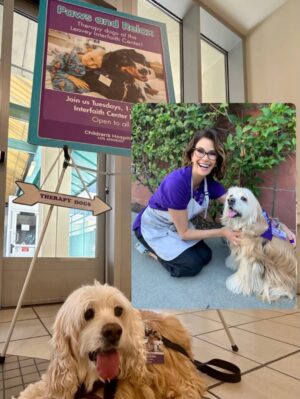 Teri Hatcher Instagram - It is with deep sadness that I said goodbye to Pumpkin yesterday. Six years ago when I went looking to adopt a dog, I wanted a senior (because I knew most people would be looking for puppies). So I knew this day would eventually come faster than I’d want it to— but in Pumpkin’s case, it was not before he had the chance to touch so many hearts and comfort so many souls, in ways I could never have anticipated. 

Whether in my personal life or during visits to @childrensla as a dog therapy team to both patients and staff, his rock star looks with his cuddly soft fur and loving demeanor were an endless comfort and a true blessing.

Thank you, Pumpkin, for coming into my life and for all you gave to so many. I knew you always tried to be the best dog even when it was hard for your body… and Pumpkin, you were the best dog. I’m gutted. I did, and would have done, anything and everything to make you well. I’m so sorry there weren’t answers.

Sometimes it’s just like that.

Wishing you love and light as you journey onward.
Bless you, sweet Pumpkin. You truly were the best dog.