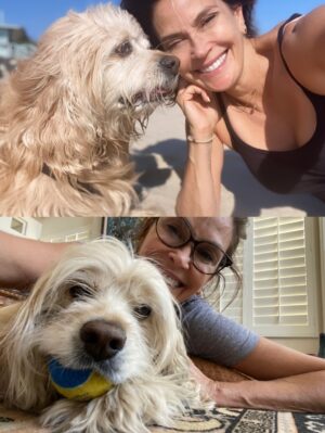 Teri Hatcher Instagram - It is with deep sadness that I said goodbye to Pumpkin yesterday. Six years ago when I went looking to adopt a dog, I wanted a senior (because I knew most people would be looking for puppies). So I knew this day would eventually come faster than I’d want it to— but in Pumpkin’s case, it was not before he had the chance to touch so many hearts and comfort so many souls, in ways I could never have anticipated. 

Whether in my personal life or during visits to @childrensla as a dog therapy team to both patients and staff, his rock star looks with his cuddly soft fur and loving demeanor were an endless comfort and a true blessing.

Thank you, Pumpkin, for coming into my life and for all you gave to so many. I knew you always tried to be the best dog even when it was hard for your body… and Pumpkin, you were the best dog. I’m gutted. I did, and would have done, anything and everything to make you well. I’m so sorry there weren’t answers.

Sometimes it’s just like that.

Wishing you love and light as you journey onward.
Bless you, sweet Pumpkin. You truly were the best dog.