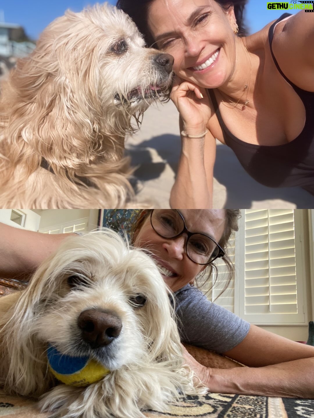 Teri Hatcher - 49.6K Likes - It is with deep sadness that I said goodbye to Pumpkin yesterday. Six years ago when I went looking to adopt a dog, I wanted a senior (because I knew most people would be looking for puppies). So I knew this day would eventually come faster than I’d want it to— but in Pumpkin’s case, it was not before he had the chance to touch so many hearts and comfort so many souls, in ways I could never have anticipated. 

Whether in my personal life or during visits to @childrensla as a dog therapy team to both patients and staff, his rock star looks with his cuddly soft fur and loving demeanor were an endless comfort and a true blessing.

Thank you, Pumpkin, for coming into my life and for all you gave to so many. I knew you always tried to be the best dog even when it was hard for your body… and Pumpkin, you were the best dog. I’m gutted. I did, and would have done, anything and everything to make you well. I’m so sorry there weren’t answers.

Sometimes it’s just like that.

Wishing you love and light as you journey onward.
Bless you, sweet Pumpkin. You truly were the best dog.