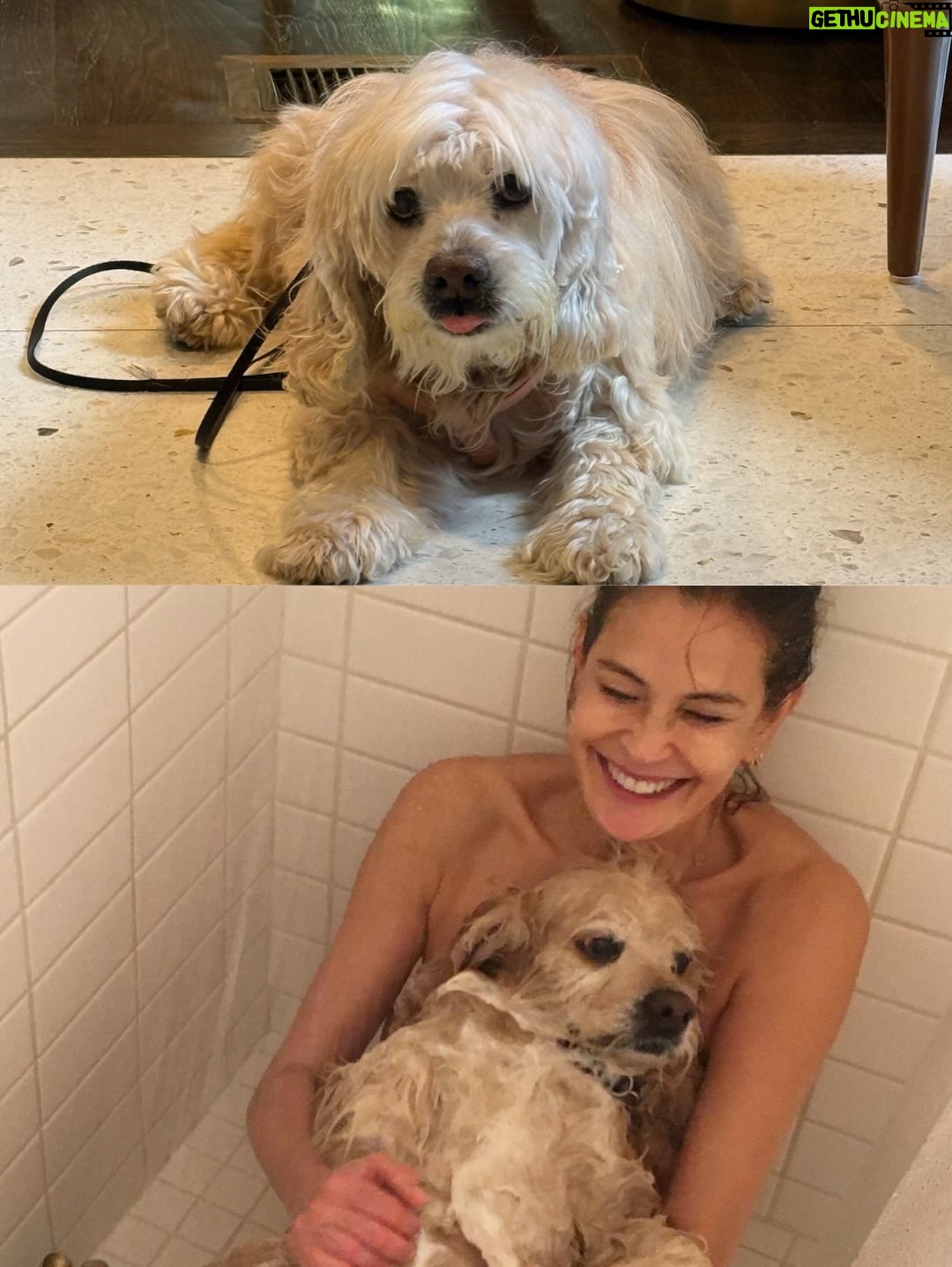 Teri Hatcher - 49.6K Likes - It is with deep sadness that I said goodbye to Pumpkin yesterday. Six years ago when I went looking to adopt a dog, I wanted a senior (because I knew most people would be looking for puppies). So I knew this day would eventually come faster than I’d want it to— but in Pumpkin’s case, it was not before he had the chance to touch so many hearts and comfort so many souls, in ways I could never have anticipated. 

Whether in my personal life or during visits to @childrensla as a dog therapy team to both patients and staff, his rock star looks with his cuddly soft fur and loving demeanor were an endless comfort and a true blessing.

Thank you, Pumpkin, for coming into my life and for all you gave to so many. I knew you always tried to be the best dog even when it was hard for your body… and Pumpkin, you were the best dog. I’m gutted. I did, and would have done, anything and everything to make you well. I’m so sorry there weren’t answers.

Sometimes it’s just like that.

Wishing you love and light as you journey onward.
Bless you, sweet Pumpkin. You truly were the best dog.