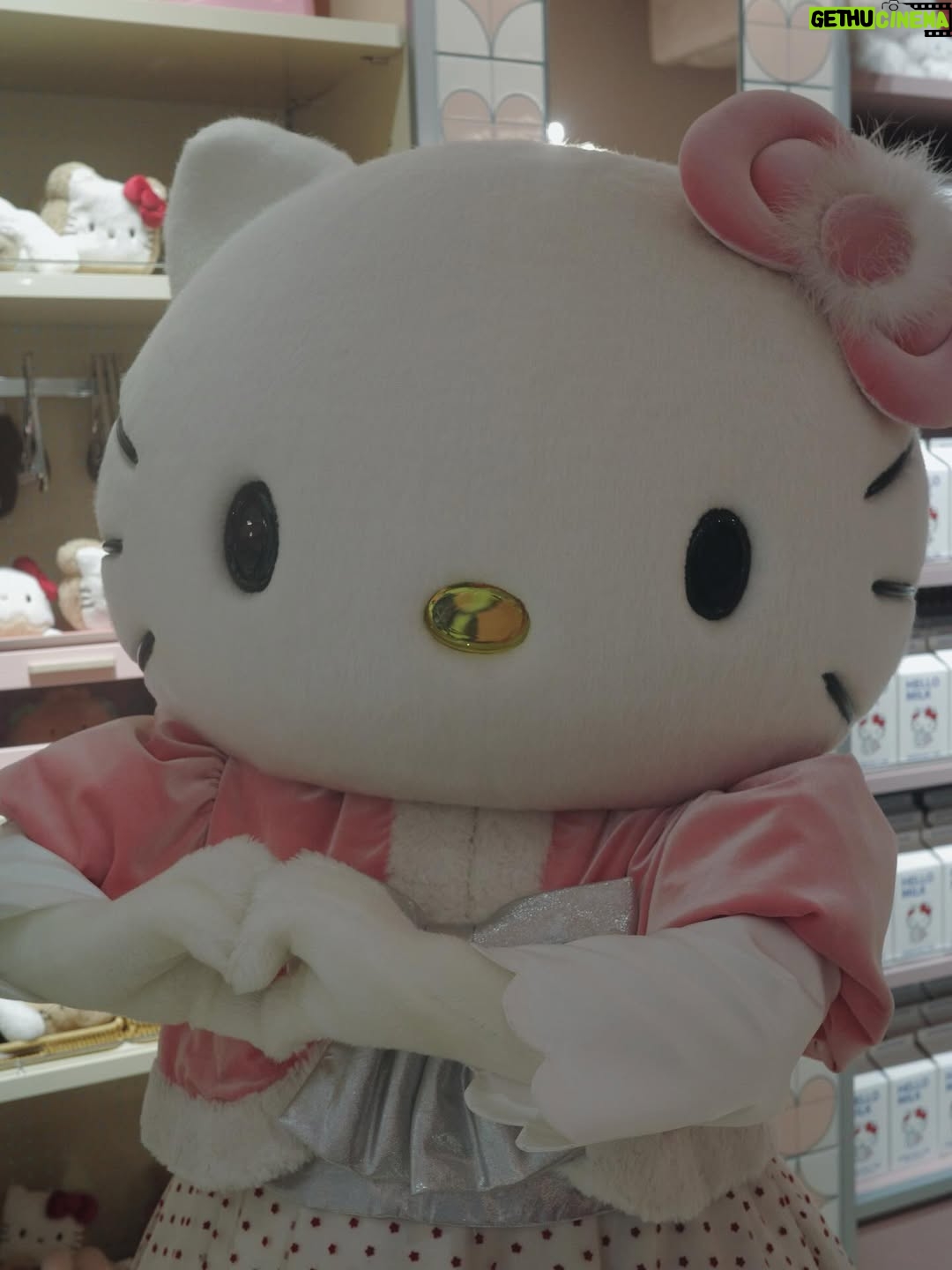 Tina Tamashiro - 32.5K Likes - 🤍sanrio house🤍

3/6にsanrio houseがオープンするという事で、遊びに行ってきました🫶🏻

マッシュプロデュースのサンリオハウスには、
たくさんのアイテムがあり、洋服はもちろん、バスボム、スカルプブラシまで🥹

わたしはサンリオの理念にも深く共感していて
キャラクター達も昔から大好きなので、まさに癒しの空間でした🤝🏻

姫として君臨しているのはキティちゃんですが、ここ数年の私の推しキャラはこぎみゅんです、、、こぎみゅんかわいすぎる、、、
こぎみゅんは小麦粉の妖精なのに、おにぎりに憧れています。。。なんで？愛しい。。。でもなれないものなんてないよね🥹

あとピアノちゃんのフォルムも好き。

とにかく爆買いを完了して大満足❣️
あ、こういうの欲しかった、とときめきながら、大人の皆さんにこそぴったりのものが見つかるはずです。

マイメロちゃんとキティちゃんにも会えた🥰

#sanriohouse
#サンリオハウス
#PR
@mash_sanriohouse_official

オープン情報🍎
* ルミネ新宿 ルミネ2店：3月6日（金）午前11時
* オフィシャルオンラインストア：3月6日（金）午前11時
* USAGI ONLINE、MASH STORE:3月6日（金）正午
* ZOZOTOWN：3月11日（水）
* 当面の間、ルミネ新宿 ルミネ2店へのご来店は公式LINEでの事前予約制です。

I visited Sanrio House ahead of its opening on March 6. 🫶🏻
I’ve always loved Sanrio characters and really resonate with their philosophy, so it felt like such a healing space.

Hello Kitty is the queen, of course—but my recent favorite is Cogimyun. She’s a flour fairy who dreams of becoming an onigiri… why is that so cute? 🥹

Also love the shape of My Sweet Piano.

I ended up buying way too much and left very happy.
There are so many items—you’ll definitely find something, especially if you’re an adult Sanrio fan.

And I even got to meet My Melody and Hello Kitty. 🥰