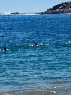 Tita Ureta Instagram - de chica siempre miraba esa balsa como un desafío. cada verano, soñaba con nadar hasta ese punto y sentirme realizada de mover mi cuerpo en el mar. sentirme viva, resetear y conectar. ahora, embarazada de a dos, todo se siente distinto. fui nadando, mi papá nos grabó (solo que no le achuntó a la vuelta y grabó a otras personas), pero la intención es lo que vale. siempre me he sentido apoyada por el en cada etapa, me mira desde la orilla. gracias papá por siempre estar conmigo y mostrarme el mar, el agua, como una terapia de vida ❤️