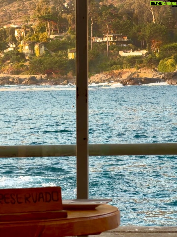 Tita Ureta - 35.8K Likes - de chica siempre miraba esa balsa como un desafío. cada verano, soñaba con nadar hasta ese punto y sentirme realizada de mover mi cuerpo en el mar. sentirme viva, resetear y conectar. ahora, embarazada de a dos, todo se siente distinto. fui nadando, mi papá nos grabó (solo que no le achuntó a la vuelta y grabó a otras personas), pero la intención es lo que vale. siempre me he sentido apoyada por el en cada etapa, me mira desde la orilla. gracias papá por siempre estar conmigo y mostrarme el mar, el agua, como una terapia de vida ❤️