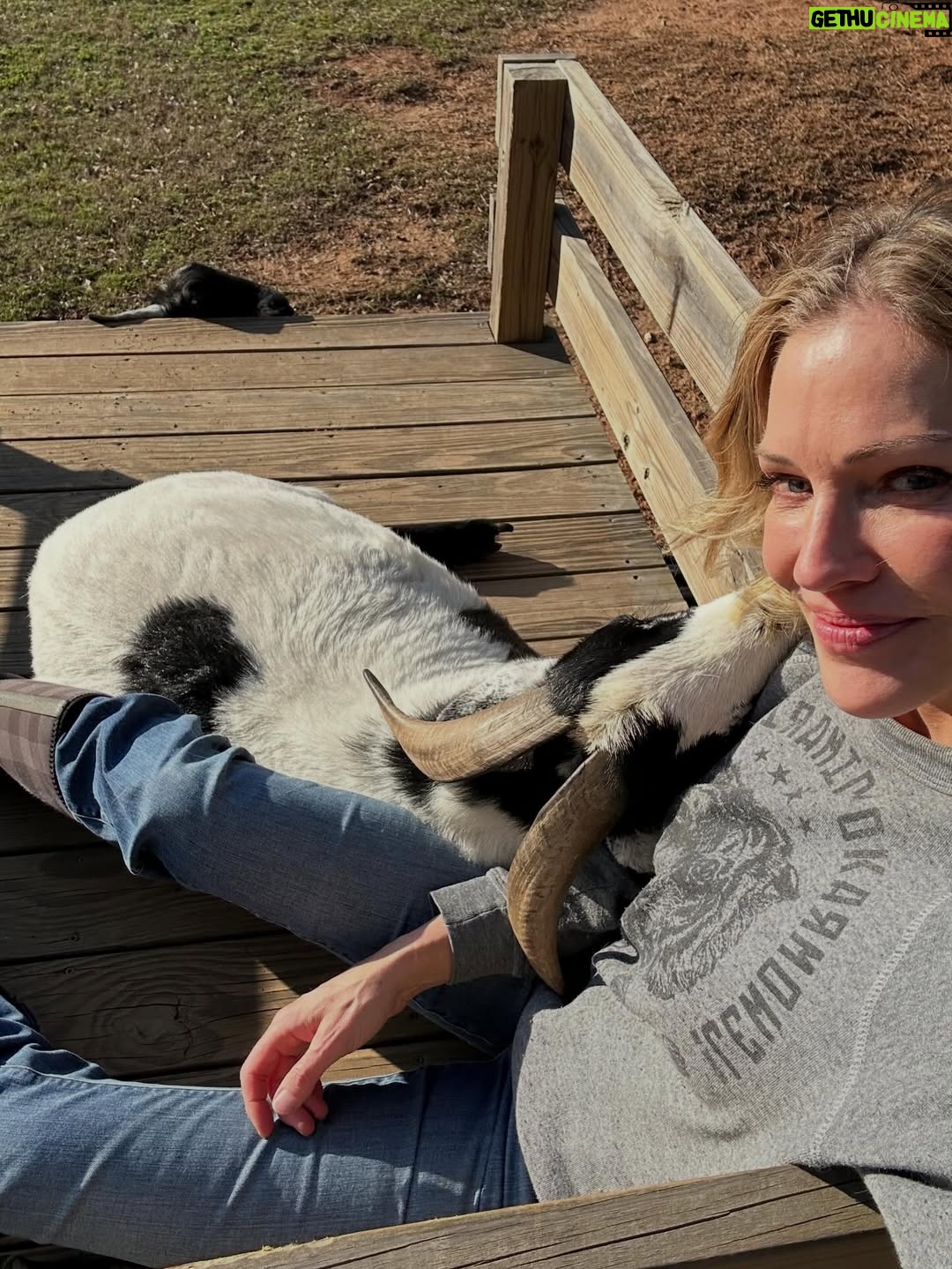 Tricia Helfer - 15.1K Likes - Priorities after a trip.  Cuddles first!