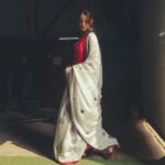 Tripti Dimri