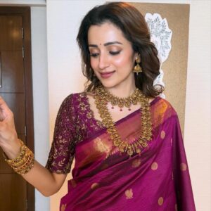 Trisha Instagram - Out and about✨💖 

@pothysofficial 
@grtjewellers 
@harshene.ravichandar 
@shaktitripathi 
@uspawar3 
@rohini_hairstylist