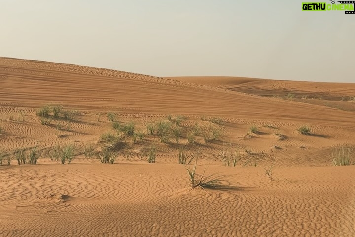 Tuana Tezsay - 3 Likes - Dubai dumpieee 🏜️🐪🏙️