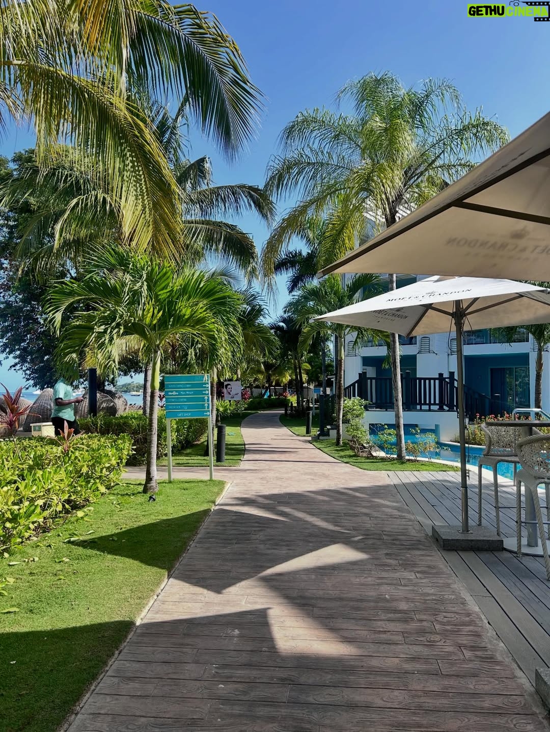 Vanessa Jeri - 27K Likes - Jamaica 📍🇯🇲 🌴☀️🪸🌺💞❤️🐠🍍🤩

Me tomé yo sola estas fotos , que tal ? 📸

Esta es nuestra tercera visita 💚
Hemos tenido la oportunidad de conocer casi el 80% de este hermoso País.