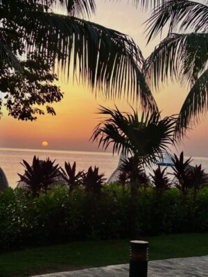 Vanessa Jeri Instagram - Jamaica 📍🇯🇲 🌴☀️🪸🌺💞❤️🐠🍍🤩

Me tomé yo sola estas fotos , que tal ? 📸

Esta es nuestra tercera visita 💚
Hemos tenido la oportunidad de conocer casi el 80% de este hermoso País.