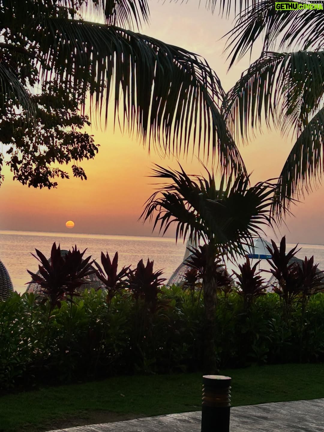 Vanessa Jeri - 27K Likes - Jamaica 📍🇯🇲 🌴☀️🪸🌺💞❤️🐠🍍🤩

Me tomé yo sola estas fotos , que tal ? 📸

Esta es nuestra tercera visita 💚
Hemos tenido la oportunidad de conocer casi el 80% de este hermoso País.