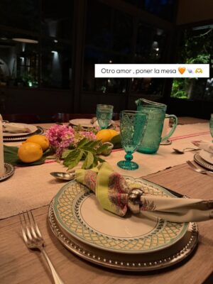 Verónica Lozano Instagram - Dias en familia ,rutina de amor , amigos cosas ricas y ver el día pasar.
Leer, cocinar, beber, amar , escribir por WhatsApp: “ a comer 🥣 “ 
Acariciar perros y caballos. 
Elegir platos , servilletas y cubiertos .
Tomar sol no es tanto lo mío ,darse un chapuzón , sentir el agua fresquita y decretar sanación .
Volver a ver amigos que quiero , llegar siempre de visita con “algo” es ley ! Flores cortadas del jardin , vino o algo dulce .
Mirar como nuestra hija crece y sentir nostalgia .
Prender el fuego , las velas y el corazón 💞