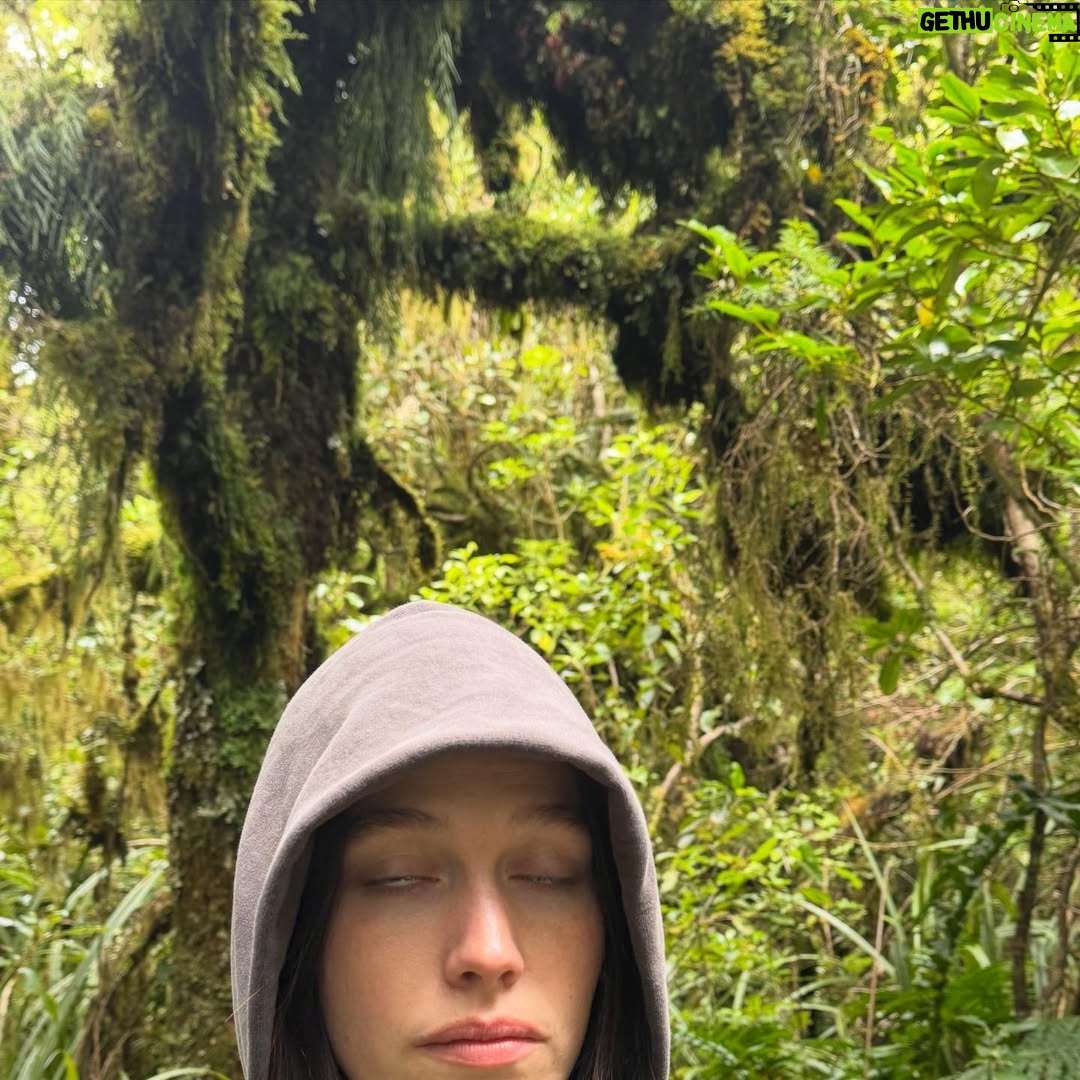 Victoria Pedretti - 244.6K Likes - Ika mata