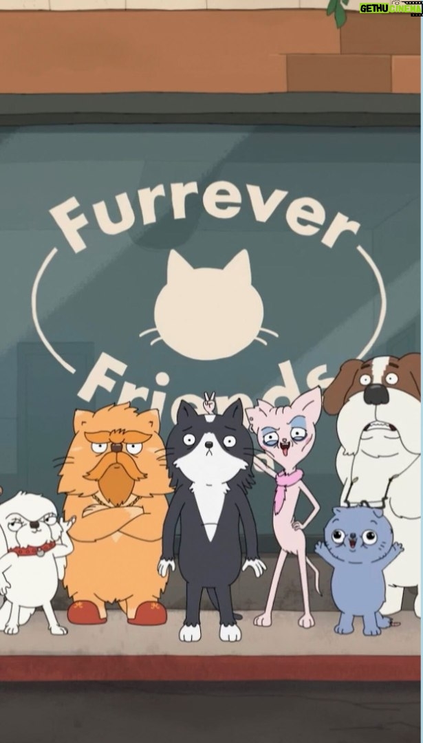 Whoopi Goldberg - 51K Likes - The cat’s out of the bag! Kevin, a new animated comedy featuring an original song written and performed by Jason Schwartzman and Dan Romer, is coming to Prime Video on April 20.