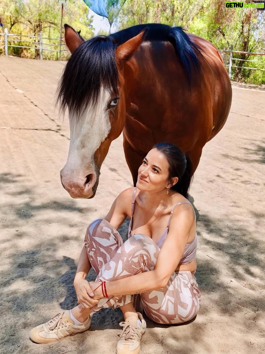 Yamila Reyna - 34.3K Likes - En esta búsqueda de sanar, entender el porqué de este proceso que hoy atravieso, viví una de las mejores experiencias de encuentro conocimiento y auto reconocimiento. Constelacion con caballos, si lo sé, también pensé, naaaa están locos, pero me di la oportunidad de experimentarlo y fue… no sé ni cómo describirlo, no hay palabras para semejante vivencia.
Si pueden háganlo, es revelador y sanador para el alma y para uno mismo, me enseño y me mostró tanto, que me han sido herramientas para entender, transmutar y poder avanzar.
 @genholistica Te guía y te conecta con lo esencial, gracias!
Les dejo el dato: @equinoterapia_coyan 

Mención especial  @basauri por recomendármelo ❤️