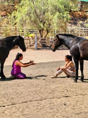 Yamila Reyna Instagram - En esta búsqueda de sanar, entender el porqué de este proceso que hoy atravieso, viví una de las mejores experiencias de encuentro conocimiento y auto reconocimiento. Constelacion con caballos, si lo sé, también pensé, naaaa están locos, pero me di la oportunidad de experimentarlo y fue… no sé ni cómo describirlo, no hay palabras para semejante vivencia.
Si pueden háganlo, es revelador y sanador para el alma y para uno mismo, me enseño y me mostró tanto, que me han sido herramientas para entender, transmutar y poder avanzar.
 @genholistica Te guía y te conecta con lo esencial, gracias!
Les dejo el dato: @equinoterapia_coyan 

Mención especial  @basauri por recomendármelo ❤️
